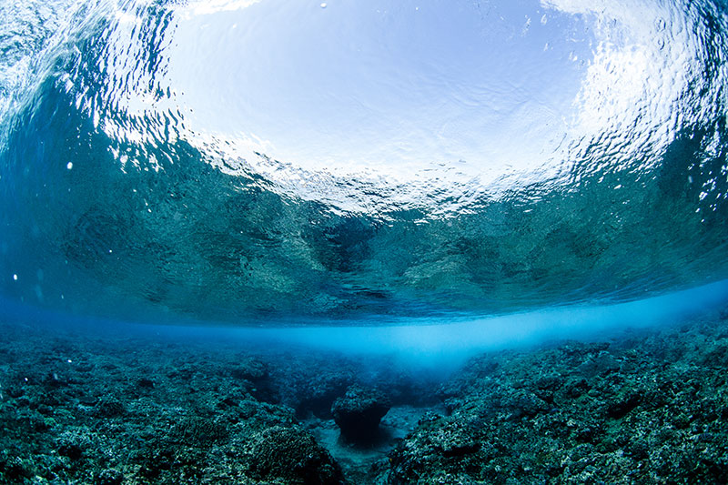 shesurfs.com.au - Mikala Wilbow - lifestyle photographer - fiji girls surf trip - underwater fiji wave