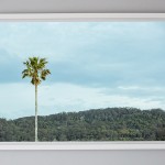 shesurfs.com.au-surf-ocean-art-photography-palm-alone-framed-print